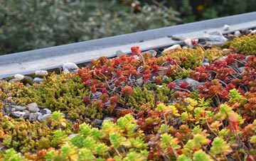 the cost of Sigford green roof installation
